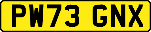 PW73GNX