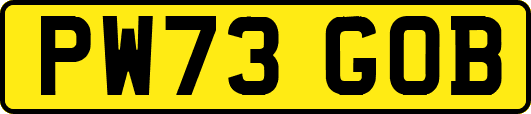 PW73GOB