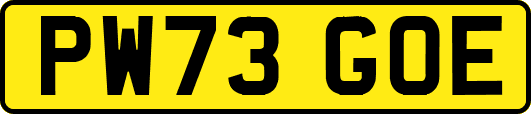 PW73GOE