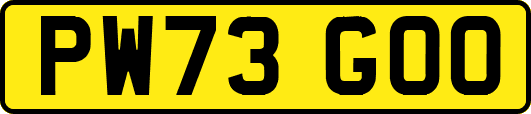 PW73GOO