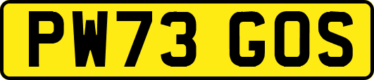 PW73GOS