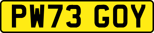 PW73GOY