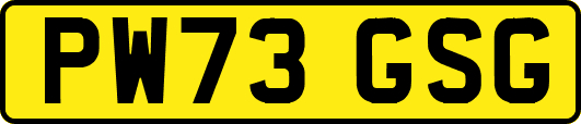 PW73GSG
