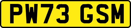 PW73GSM