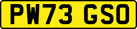 PW73GSO