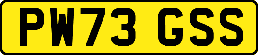 PW73GSS