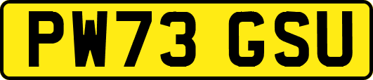 PW73GSU
