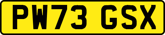 PW73GSX