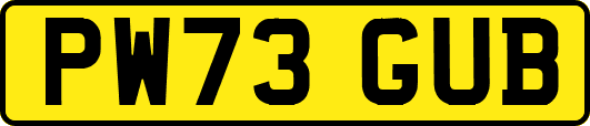 PW73GUB
