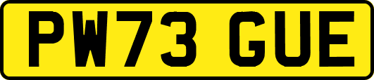 PW73GUE
