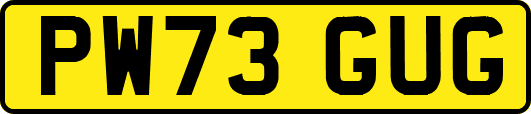 PW73GUG