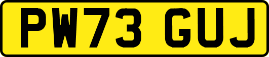 PW73GUJ