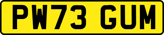 PW73GUM