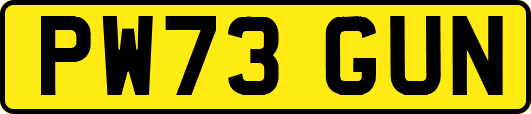 PW73GUN