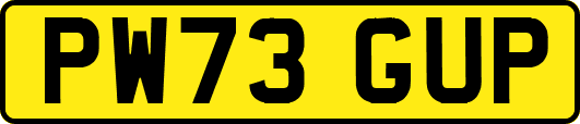 PW73GUP