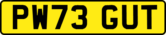 PW73GUT