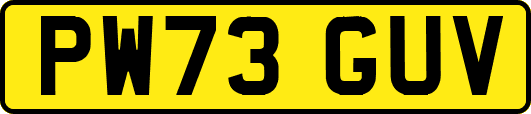 PW73GUV