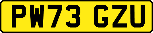 PW73GZU