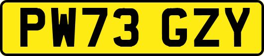PW73GZY