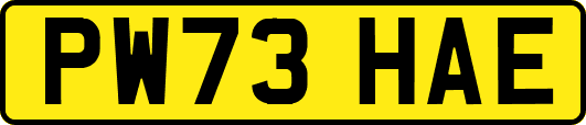 PW73HAE