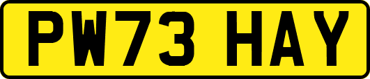 PW73HAY
