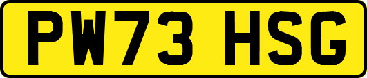 PW73HSG