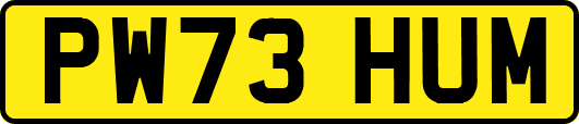 PW73HUM