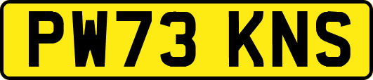 PW73KNS