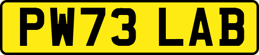 PW73LAB