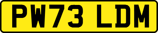 PW73LDM