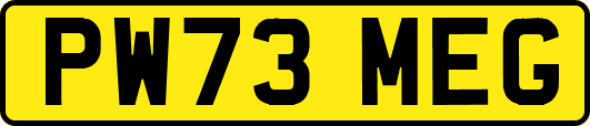 PW73MEG