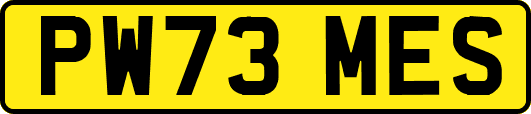 PW73MES