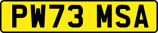 PW73MSA