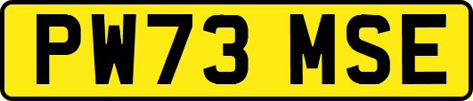 PW73MSE
