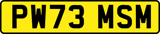 PW73MSM