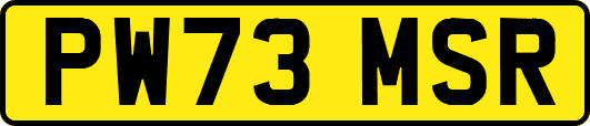 PW73MSR