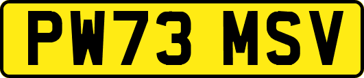 PW73MSV