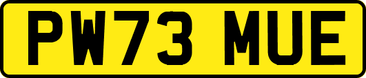 PW73MUE