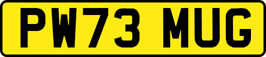 PW73MUG