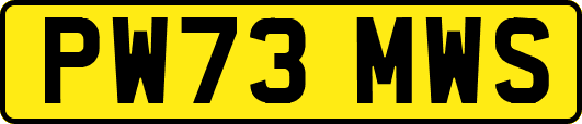PW73MWS