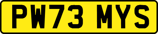 PW73MYS