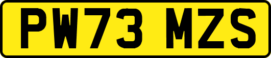 PW73MZS