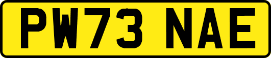 PW73NAE