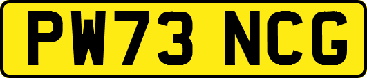 PW73NCG