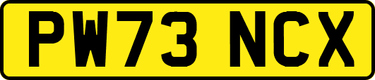 PW73NCX