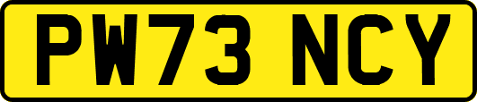 PW73NCY