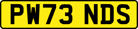 PW73NDS