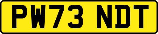 PW73NDT