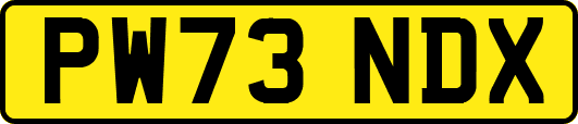 PW73NDX
