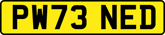PW73NED